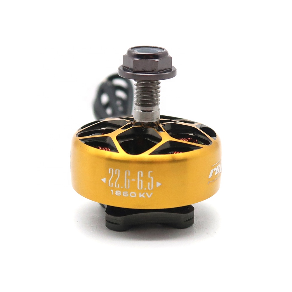 RCINPOWER WASP MAJOR 1860KV 20 - Drone Battery 6S avaliação e preço